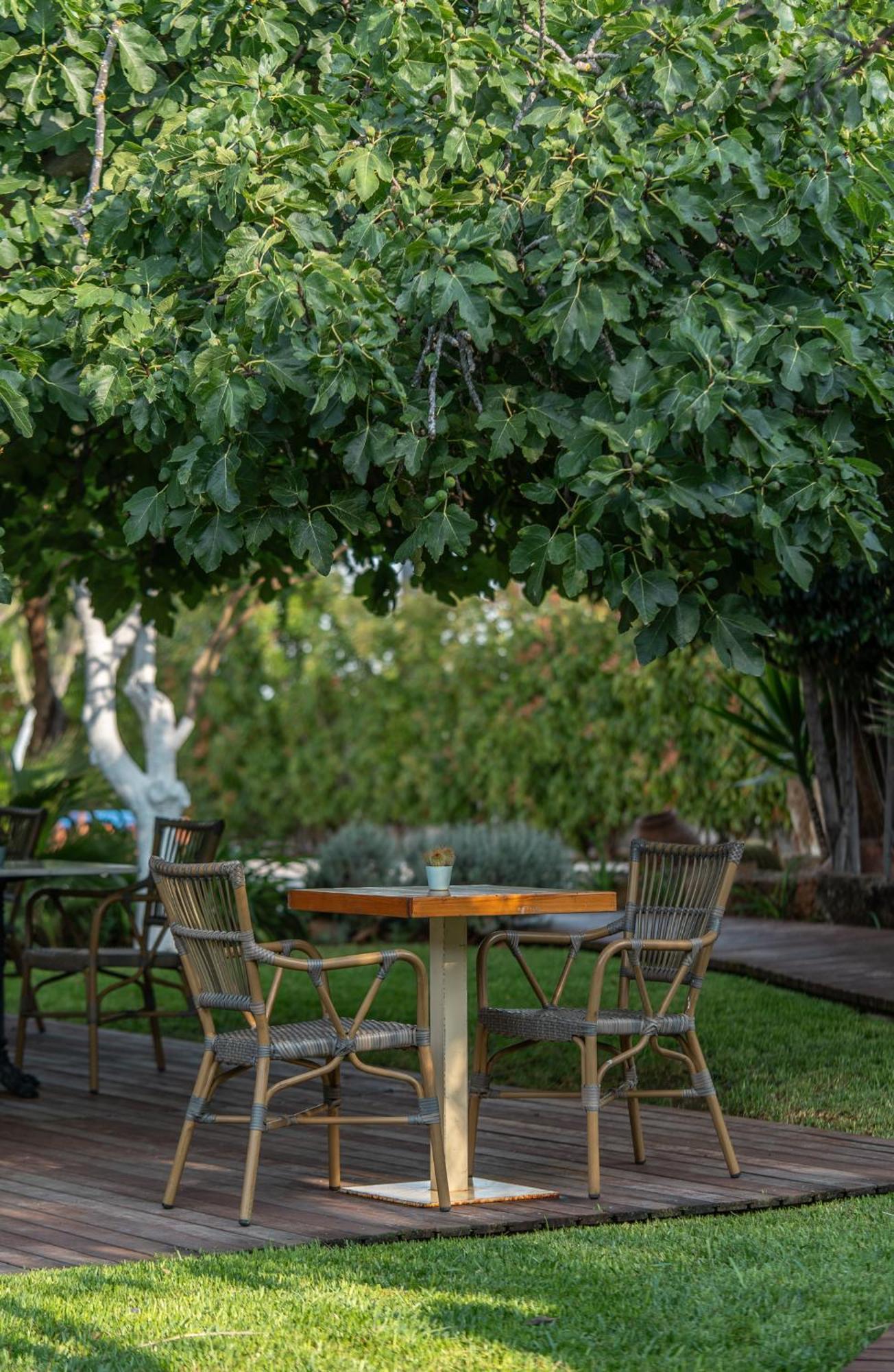 Boho Suites Denia (Adults Only) エクステリア 写真